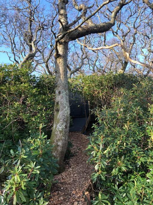 Waterside Cader With Hot Tub Appartement Barmouth